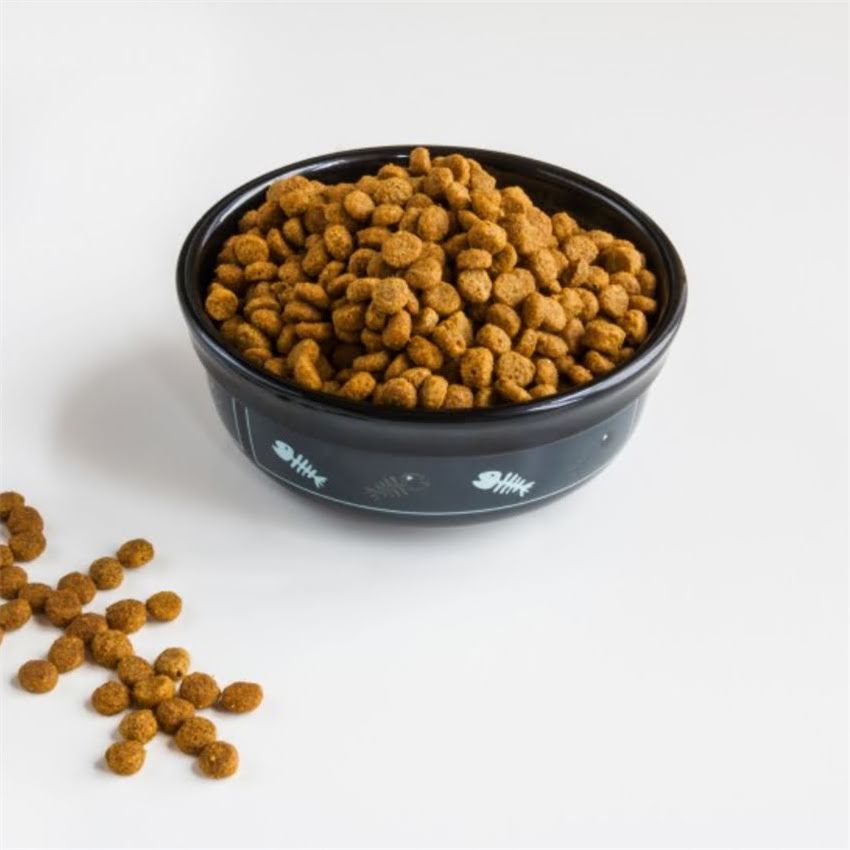 图片 猫咪呕吐拒食怎么办？专业兽医教你三步排查病因及应对措施（附饮食调理方案）1.jpg