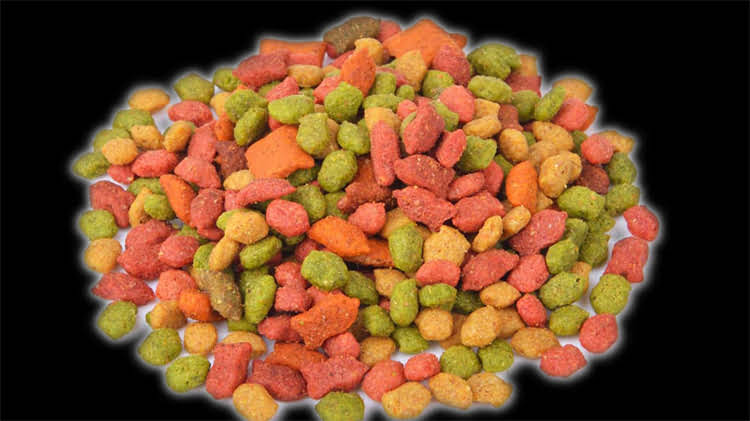 图片 猫咪绝育术后伤口愈合全：5天还是15天？科学护理指南助你无忧1.jpg