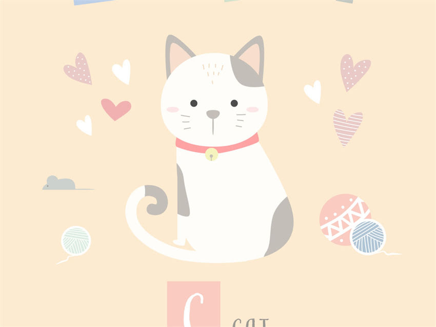 图片 猫粮价格区间如何选择？不同价位猫粮对比测评及选购指南（附参考价表）.jpg