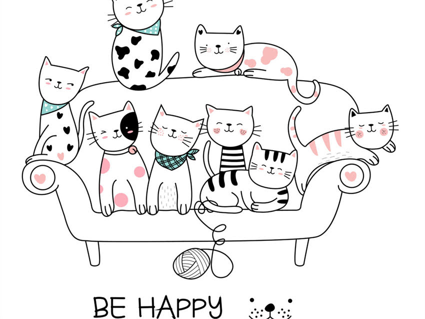 图片 猫粮价格区间如何选择？不同价位猫粮对比测评及选购指南（附参考价表）1.jpg