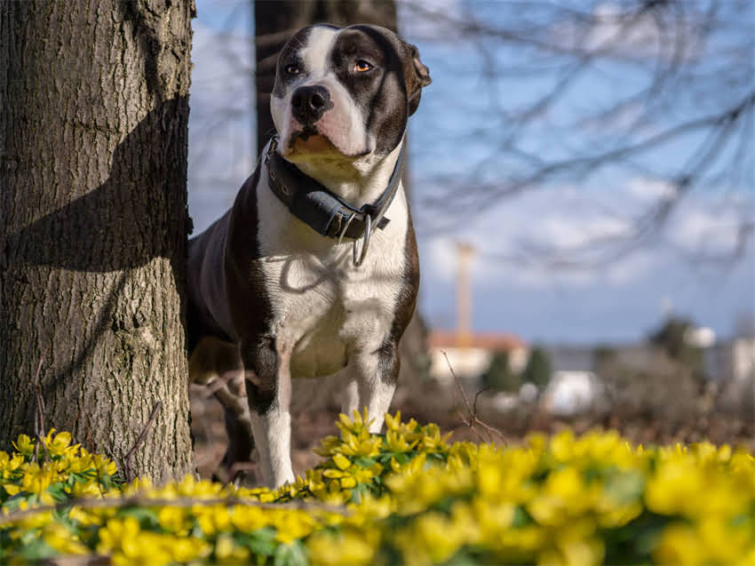图片 猫粮受潮怎么办？5大判断方法+3步解决指南（附储存技巧）.jpg