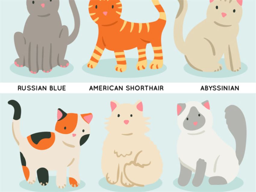 图片 猫粮受潮怎么办？5大判断方法+3步解决指南（附储存技巧）2.jpg