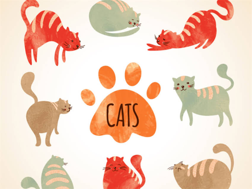 图片 猫粮可以添加什么水果？科学搭配与安全指南（附食谱）2.jpg