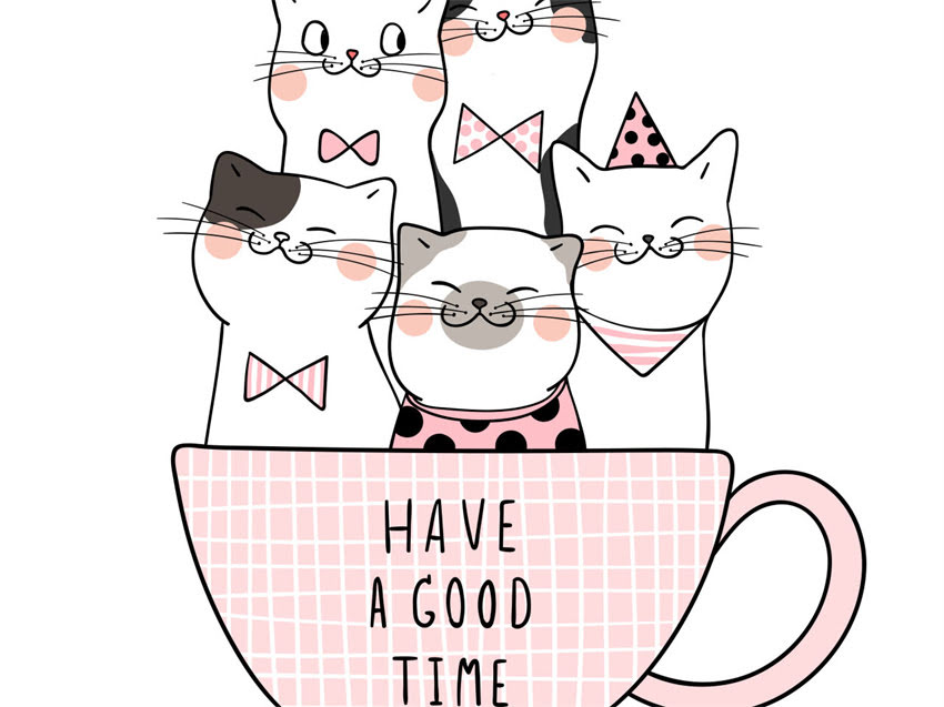 图片 猫粮成分表避坑指南：5大禁忌成分与选购技巧（附成分表）1.jpg