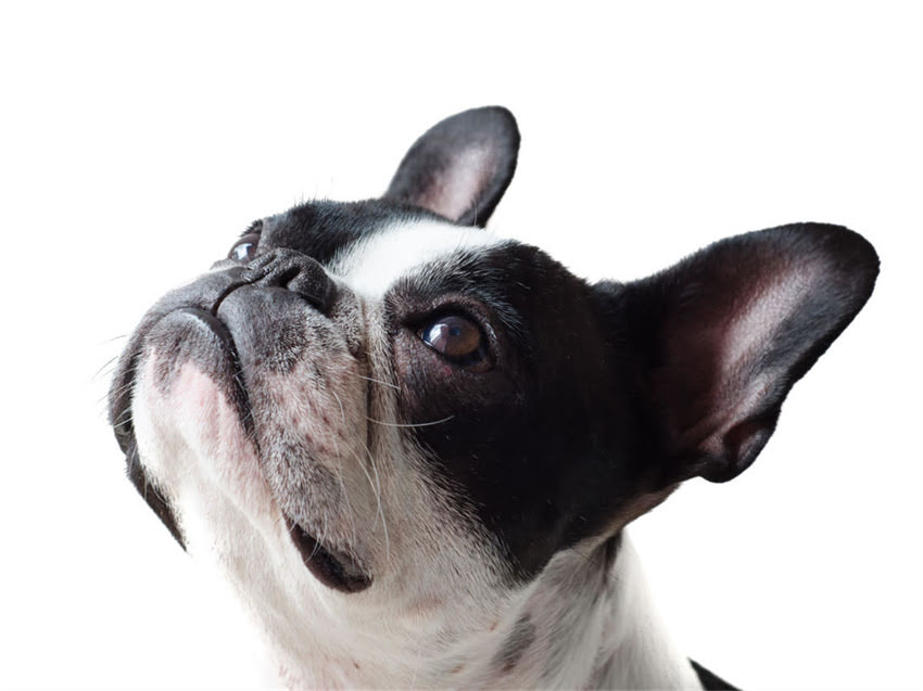 图片 疫苗接种后洗澡的五大禁忌与科学建议1.jpg