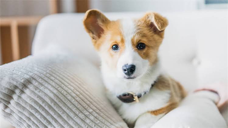 图片 疫苗接种后洗澡的五大禁忌与科学建议2.jpg