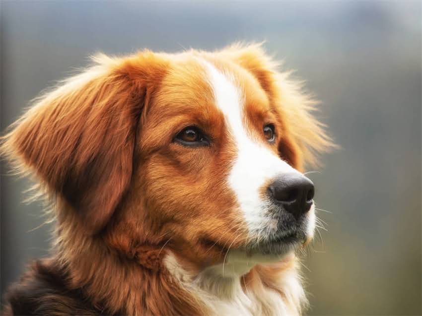 图片 疫苗接种后洗澡的正确方法及注意事项：专家详解禁忌与护理指南2.jpg