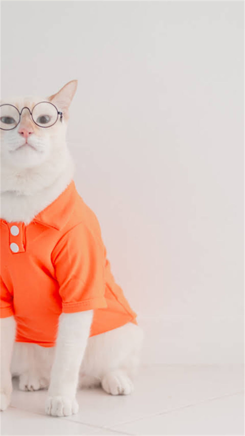 图片 科学GO猫粮全系列深度测评：成分、适口性与性价比大公开！附选购指南1.jpg