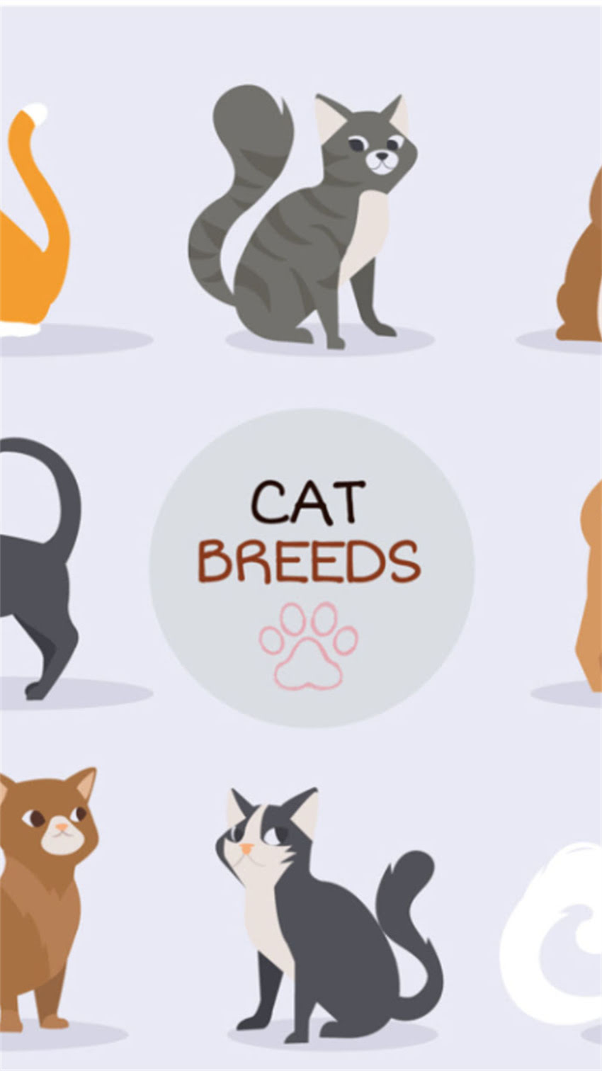 图片 纯种东德犬眼睛颜色全：蓝、褐、黑三种颜色分别代表什么？如何辨别健康品种？2.jpg