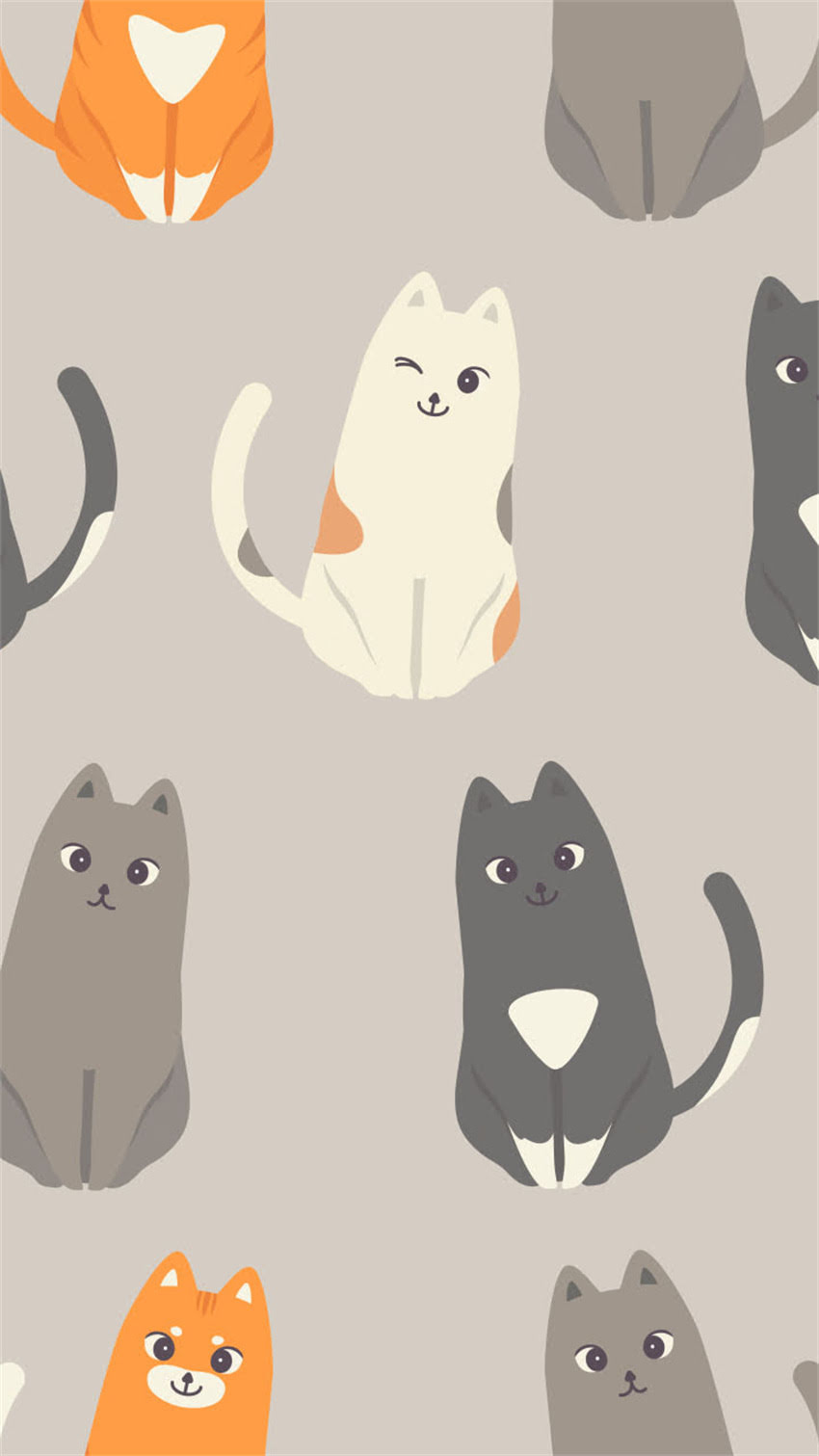 图片 纯种俄罗斯人8大核心特征：从外貌到性格的深度分析（附真实案例）.jpg