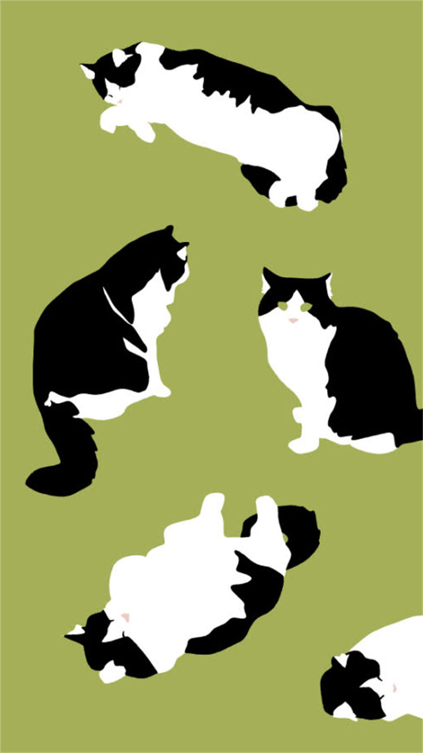 图片 纯种俄罗斯人8大核心特征：从外貌到性格的深度分析（附真实案例）1.jpg