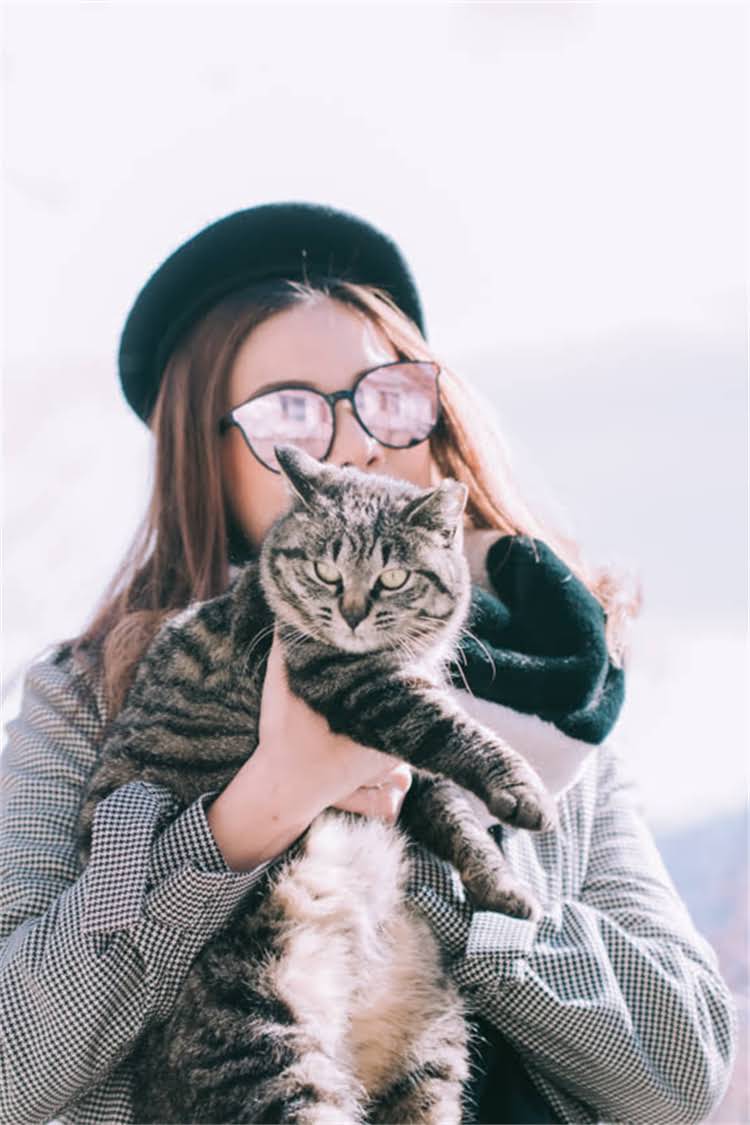 图片 纯种幼柴犬价格全：5大因素影响价格+选购避坑指南（附地区价目表）.jpg