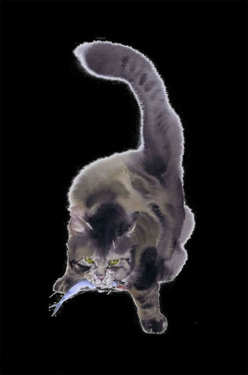 图片 萨摩耶3个月大牙齿发育全：护理要点与常见问题指南.jpg