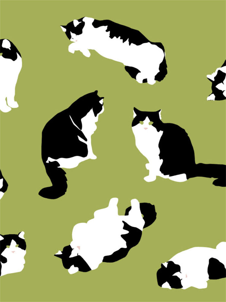 图片 萨摩耶前腿突然瘫痪怎么办？5大病因与专业护理指南.jpg