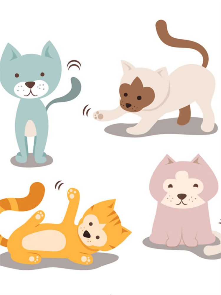 图片 萨摩耶发烧感冒症状全：如何识别、护理与预防？.jpg