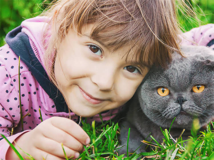 图片 萨摩耶犬频繁哼唧行为的行为与科学应对指南.jpg