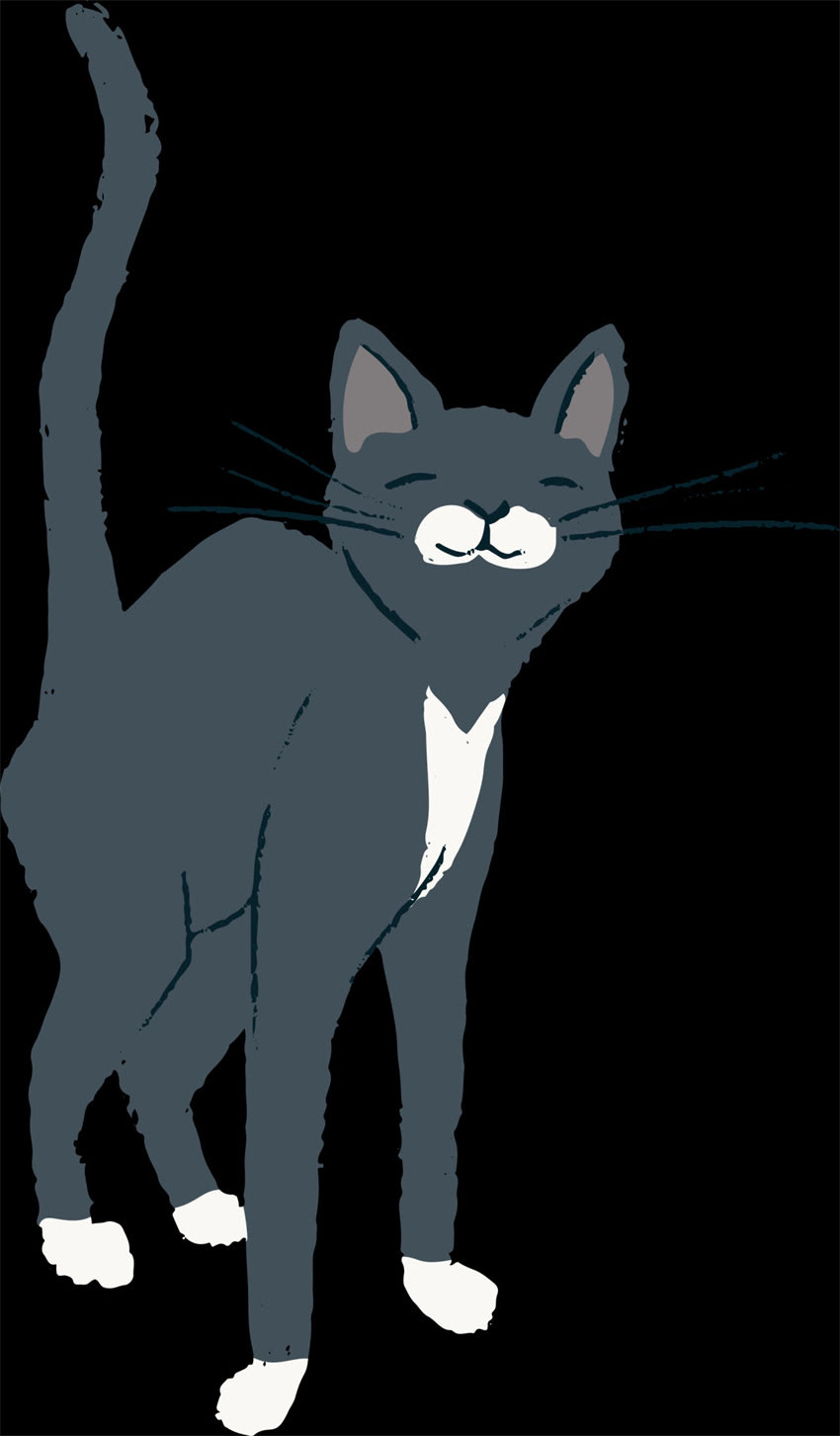 图片 萨摩耶能不吃狗粮吗？科学喂养指南与替代方案全（附营养配比表）.jpg