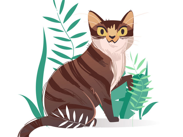 图片 萨摩耶首次生育全攻略：新手犬主必看的孕期护理到幼犬养育指南2.jpg