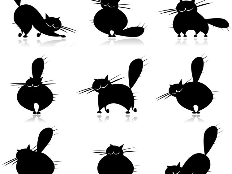 图片 藏獒幼犬训练：零基础指南与科学方法，认证犬行为专家亲授的6大黄金法则2.jpg