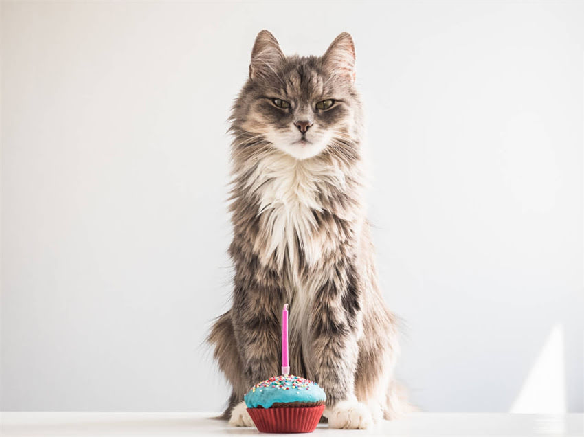 图片 辉瑞疫苗保存全指南：正确储存方法与失效处理（附官方温度要求）2.jpg