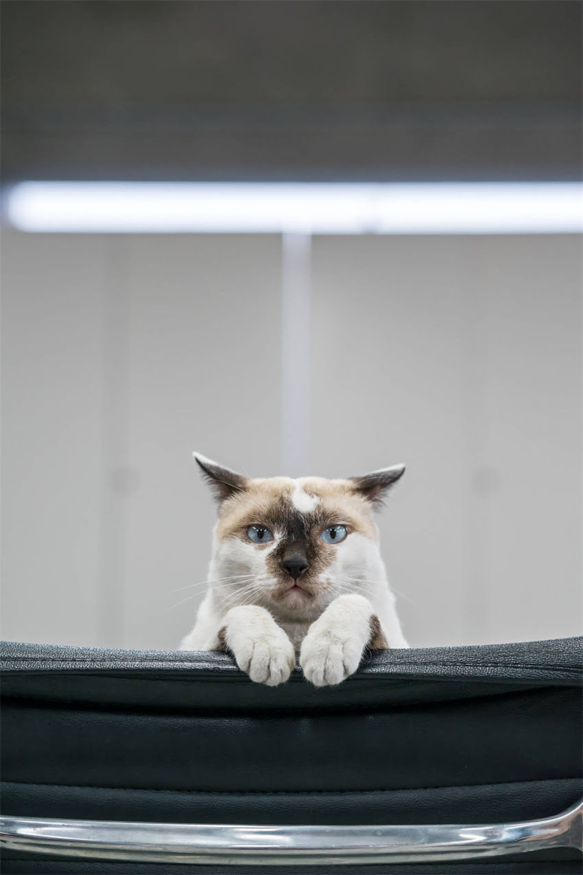 图片 辉瑞疫苗最新价格一针多少钱？接种全攻略+费用明细（附真实接种记录）1.jpg