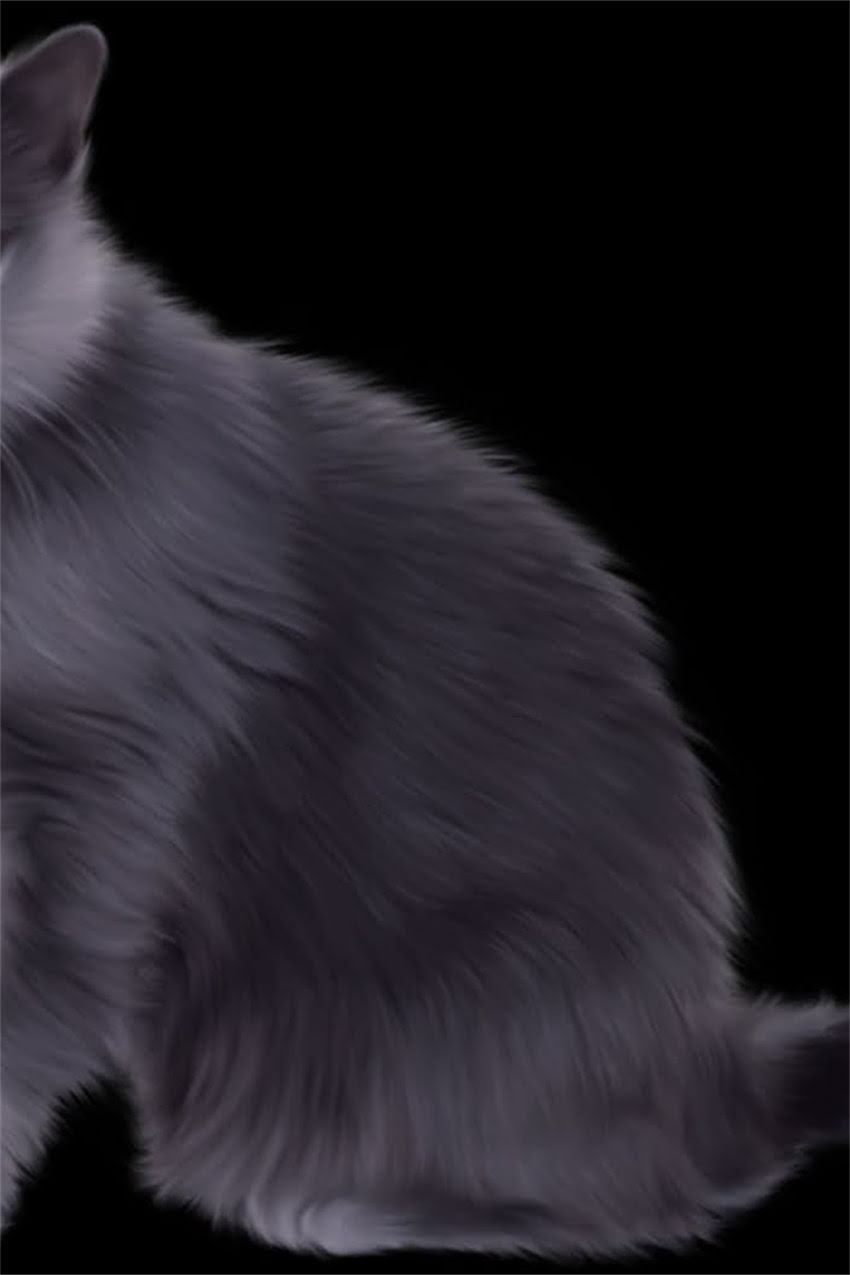 图片 边牧VS阿拉斯加：两种大型犬饲养成本差异1.jpg