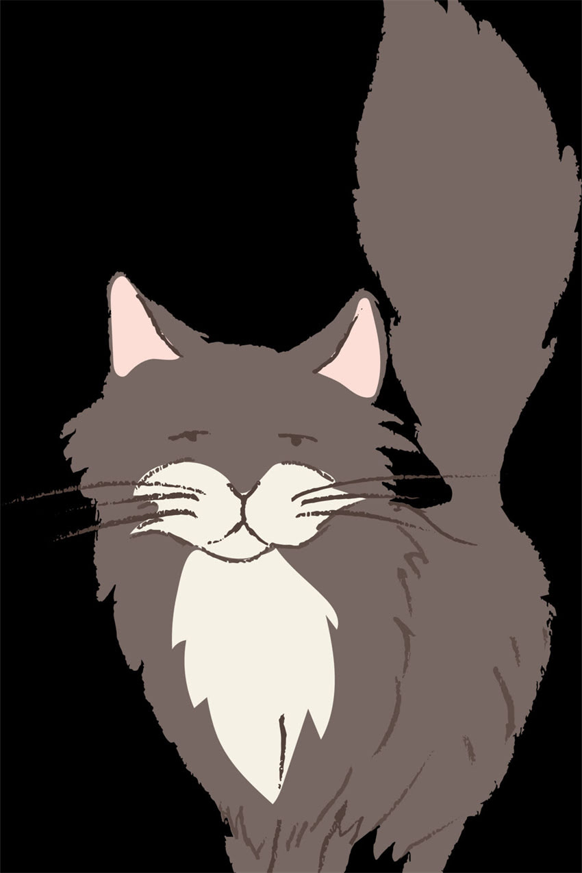 图片 边牧幼犬7天速成指南：科学喂养+常见误区全，新手必看！.jpg