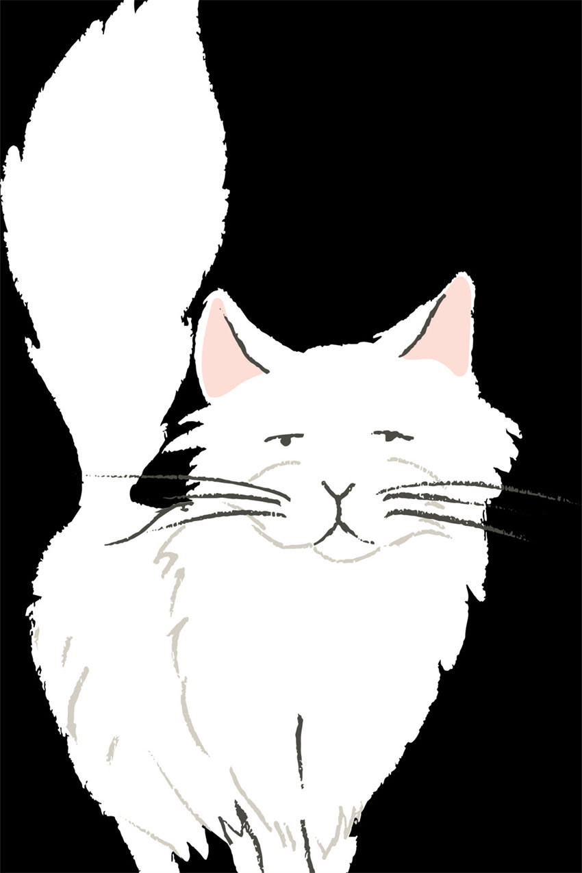 图片 边牧幼犬如何辨别真假？5大特征+选购避坑指南（附血统证书查询方法）2.jpg