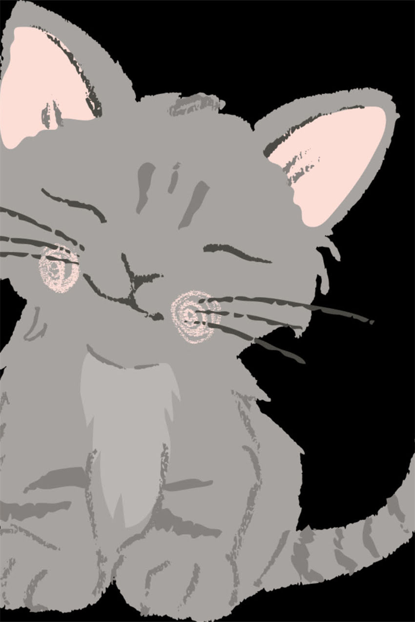 图片 边牧幼犬最佳训练年龄及科学训练指南（1-6月龄全攻略）2.jpg