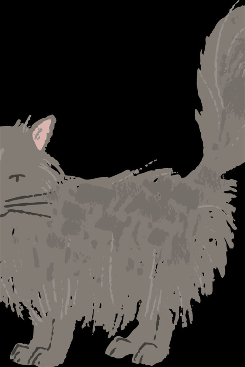 图片 边牧幼犬疫苗时间表：从1月龄到成年全流程科学养殖指南.jpg