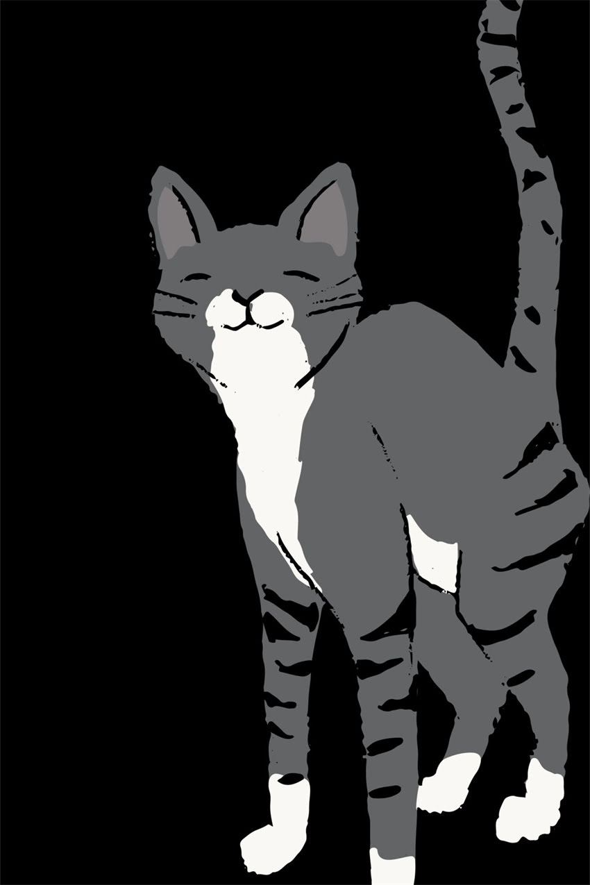 图片 边牧得了球虫怎么办？附详细用药指南及预防措施.jpg