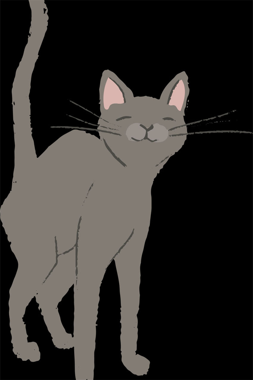 图片 边牧德牧串串当土狗养？3大误区与科学喂养指南1.jpg