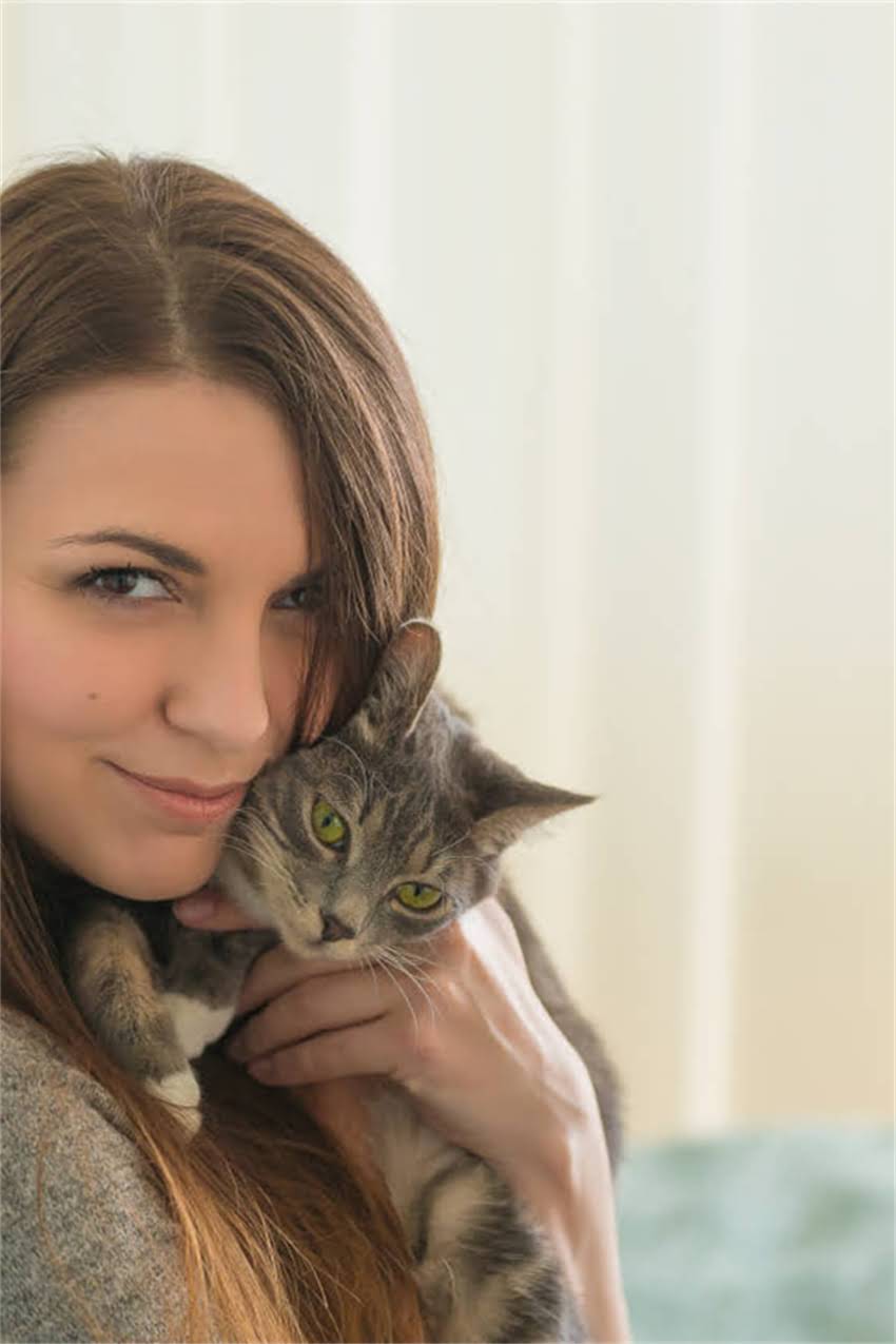 图片 边牧毛色遗传概率科学：银背、奶油、巧克力色后代比例及培育指南2.jpg