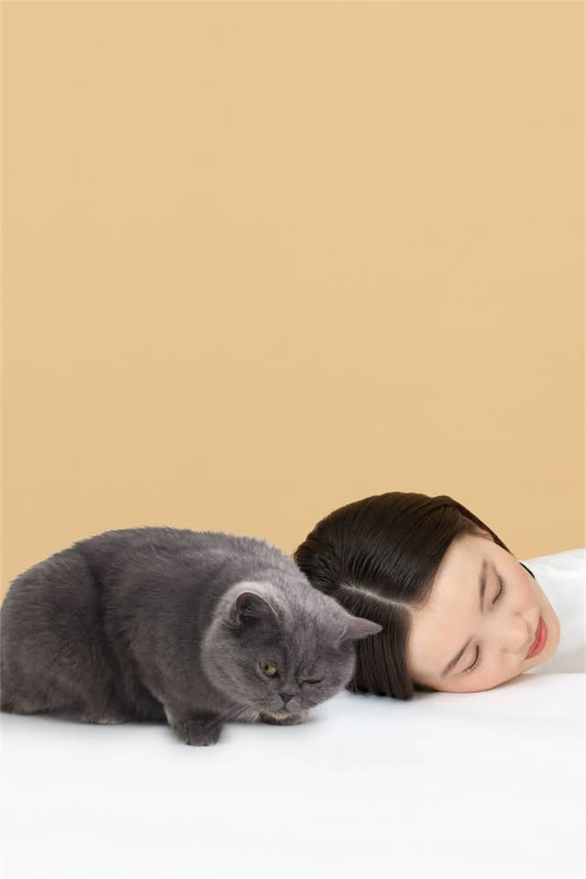 图片 迷你雪纳瑞选购全攻略：5大核心要点+饲养注意事项（附价格参考）1.jpg