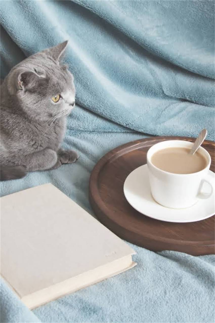 图片 适合养哈士奇的工作推荐：8大职业类型+科学养宠指南（附真实案例）2.jpg