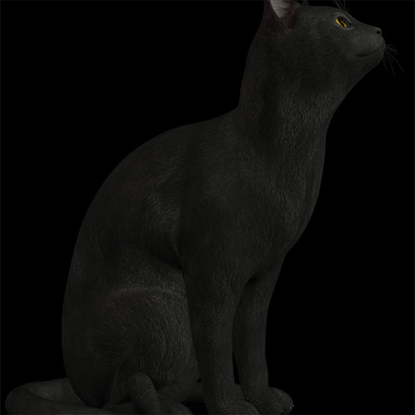 图片 金毛vs拉布拉多幼犬对比：饲养、训练、健康全指南1.jpg