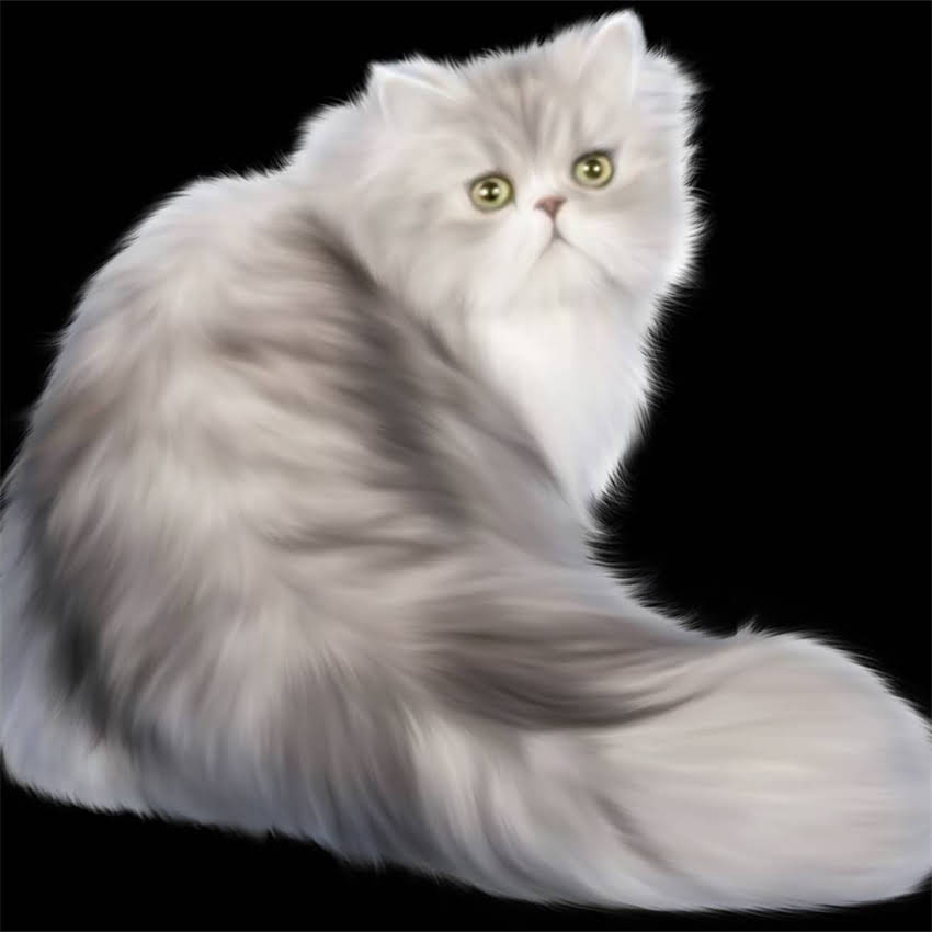 图片 金毛中暑呕吐紧急处理指南：3步黄金抢救法+预防措施（附兽医建议）1.jpg