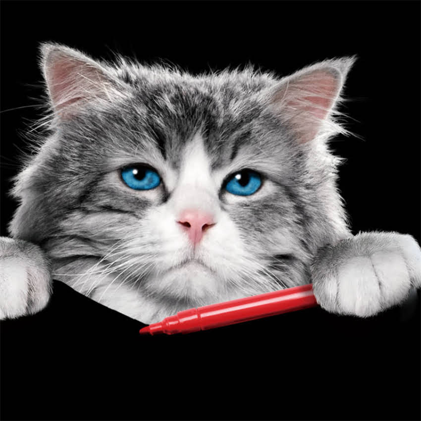 图片 金毛剃毛后皮肤变黑怎么办？原因及专业护理指南.jpg