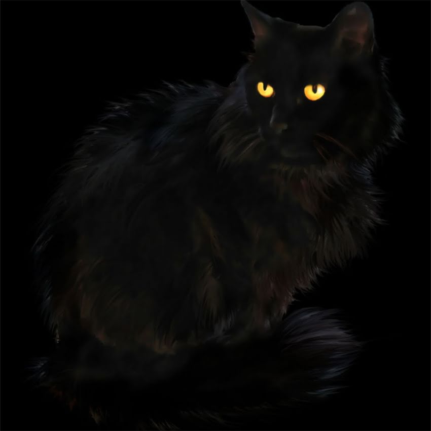 图片 金毛剃毛后皮肤变黑怎么办？原因及专业护理指南2.jpg