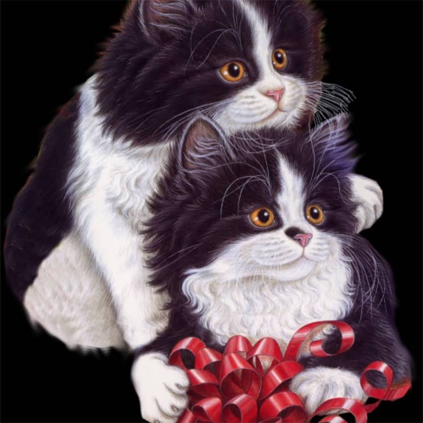 图片 金毛左后腿突然瘸了怎么办？5大常见原因及科学应对指南2.jpg