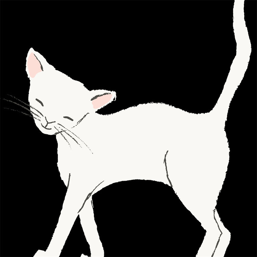 图片 金毛犬vs边牧打架冲突频发：原因与饲养指南（附专业应对方案）.jpg
