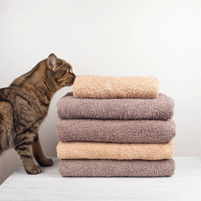 图片 金毛犬咬人案例真实事件：最新数据+科学养狗指南（附紧急处理步骤）.jpg