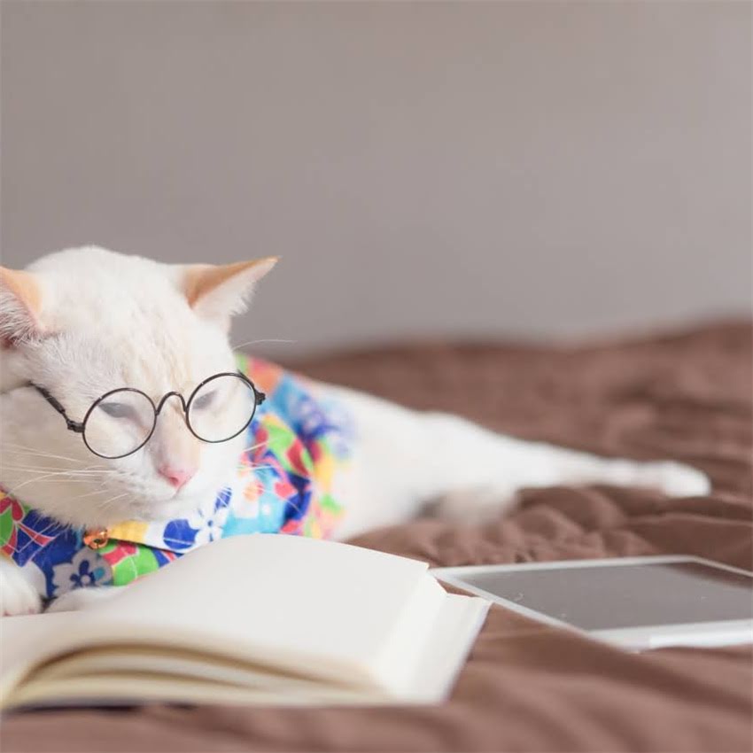 图片 金毛犬脖子后方出现肿胀包块怎么办？资深兽医详解8大病因及紧急处理指南1.jpg