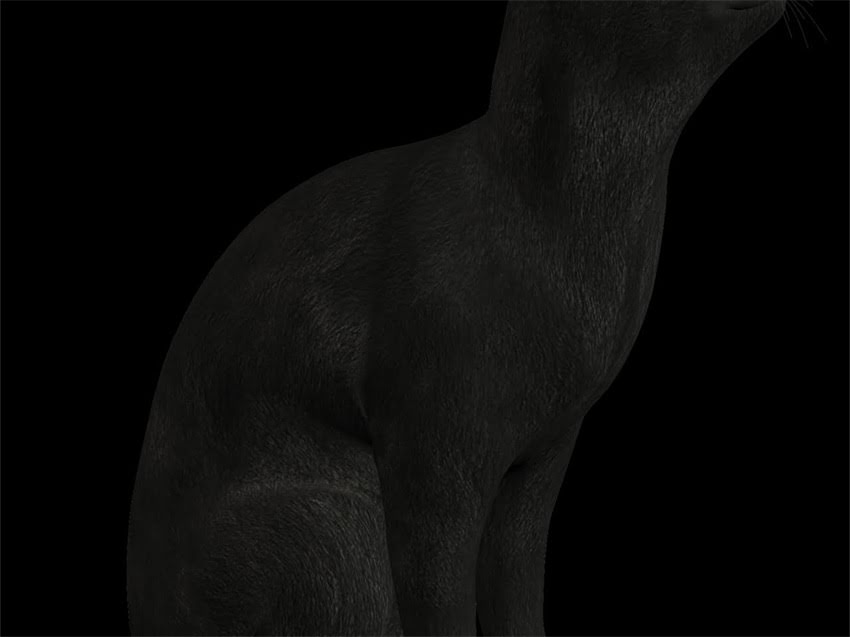 图片 金毛犬补钙指南：如何科学选择钙片？附权威推荐品牌及注意事项1.jpg