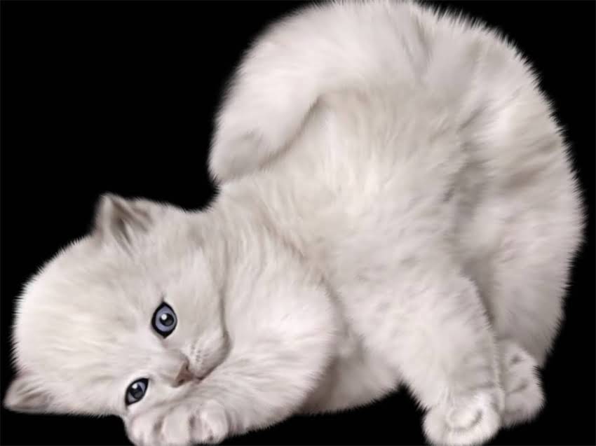 图片 金毛犬误食骨头呕吐怎么办？5个紧急处理步骤+预防措施全.jpg