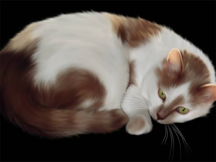 图片 金毛犬误食骨头呕吐怎么办？5个紧急处理步骤+预防措施全2.jpg