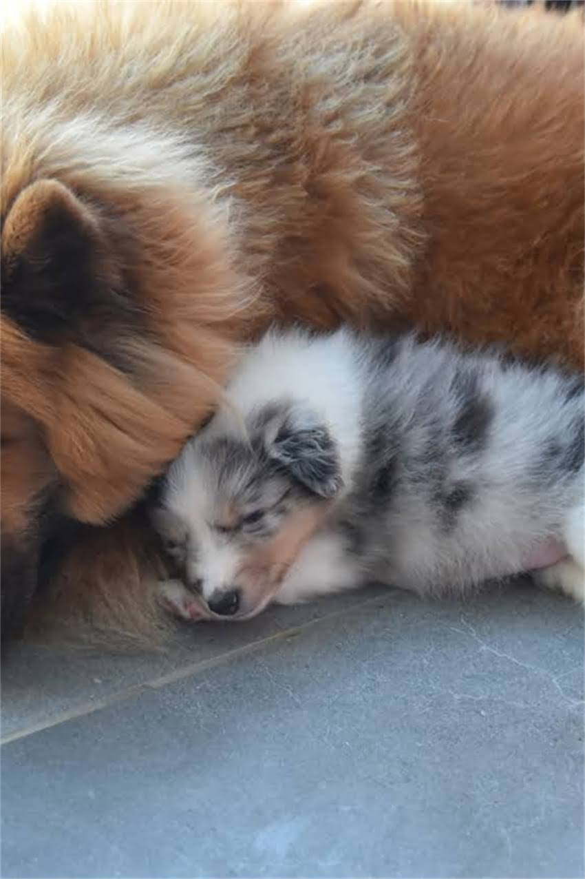 图片 阿拉斯加七色画卷｜解锁小众彩色景观的保姆级攻略（附最佳拍摄时间+交通住宿全攻略）2.jpg