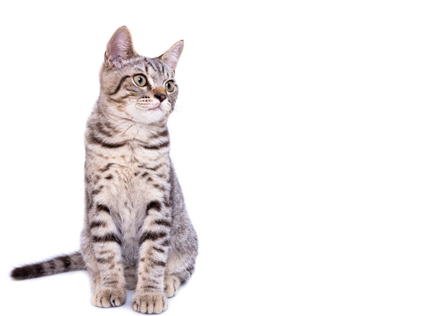 图片 阿拉斯加北京最新往返价格全：机票签证住宿费用清单及省钱攻略.jpg