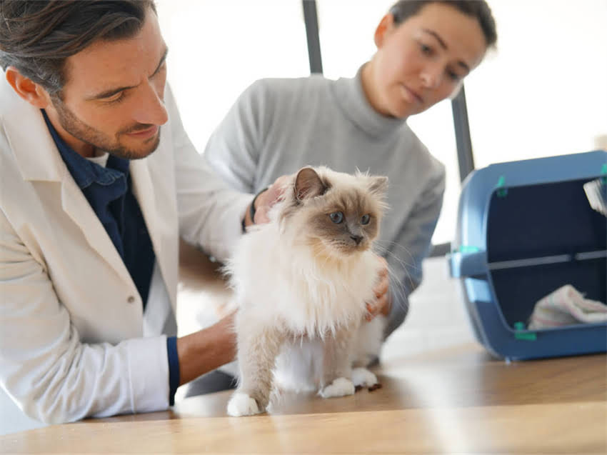 图片 阿拉斯加天宇基地：美军太空作战能力的战略支点与未来展望.jpg