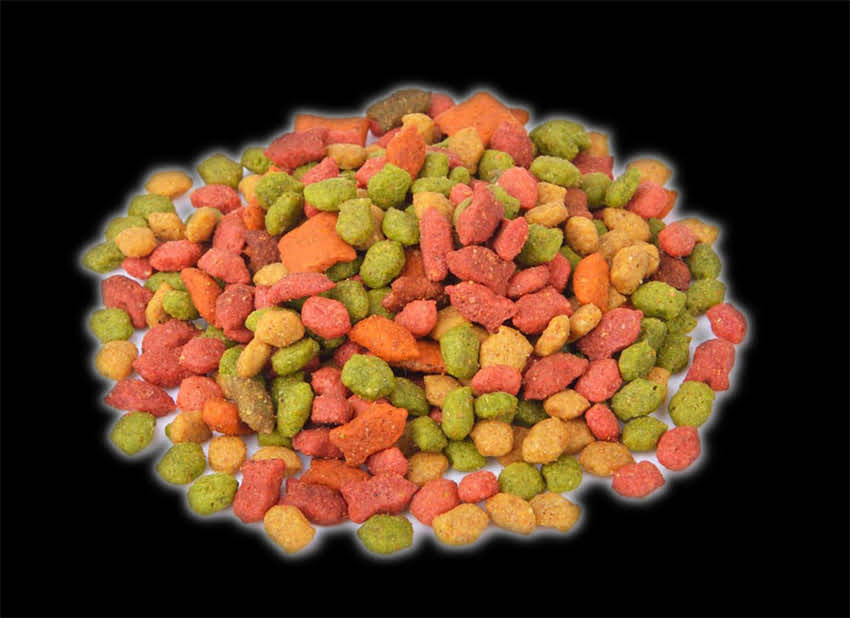 图片 阿拉斯加巨型史前生物骨架化石：远古生命奇迹的考古发现与科学意义1.jpg